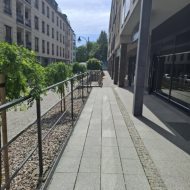 Lokal na wynajem