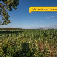 Działka na sprzedaż