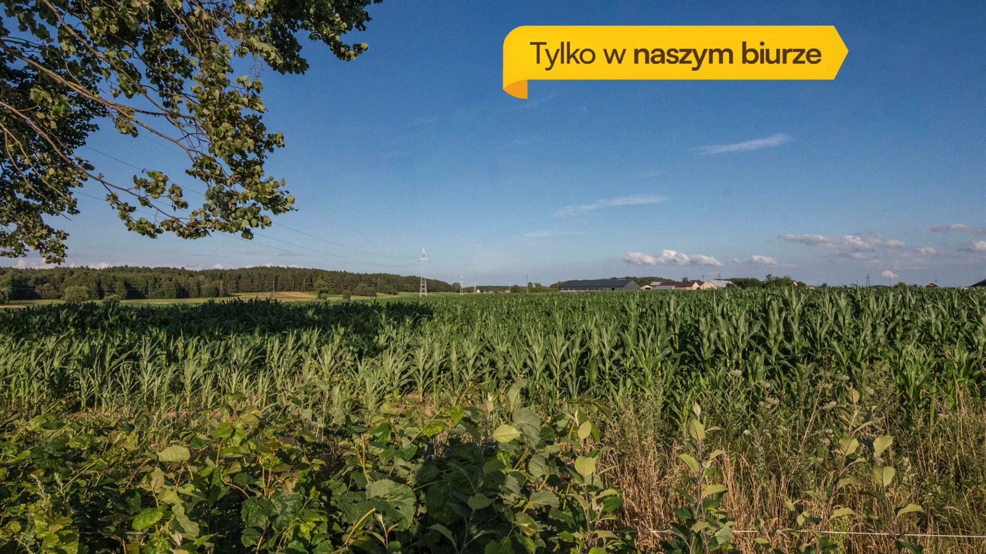 Działka na sprzedaż