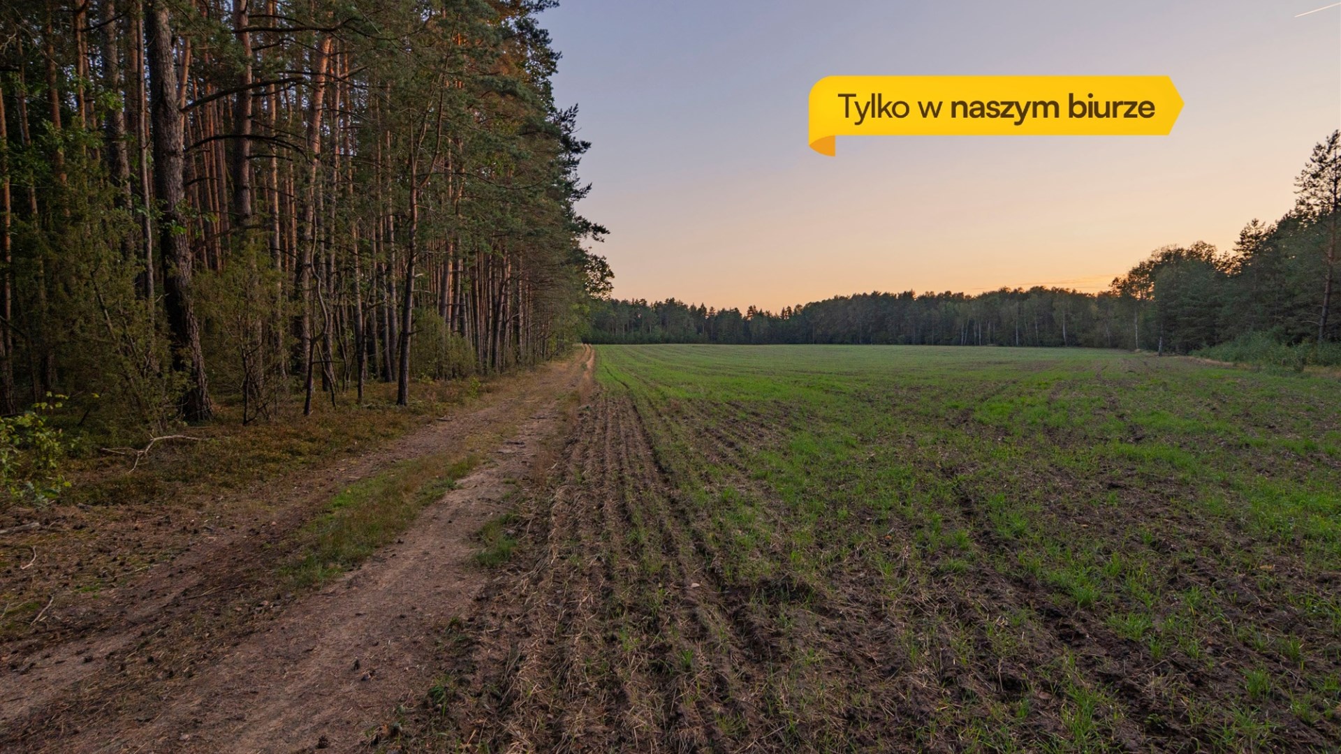 Działka na sprzedaż