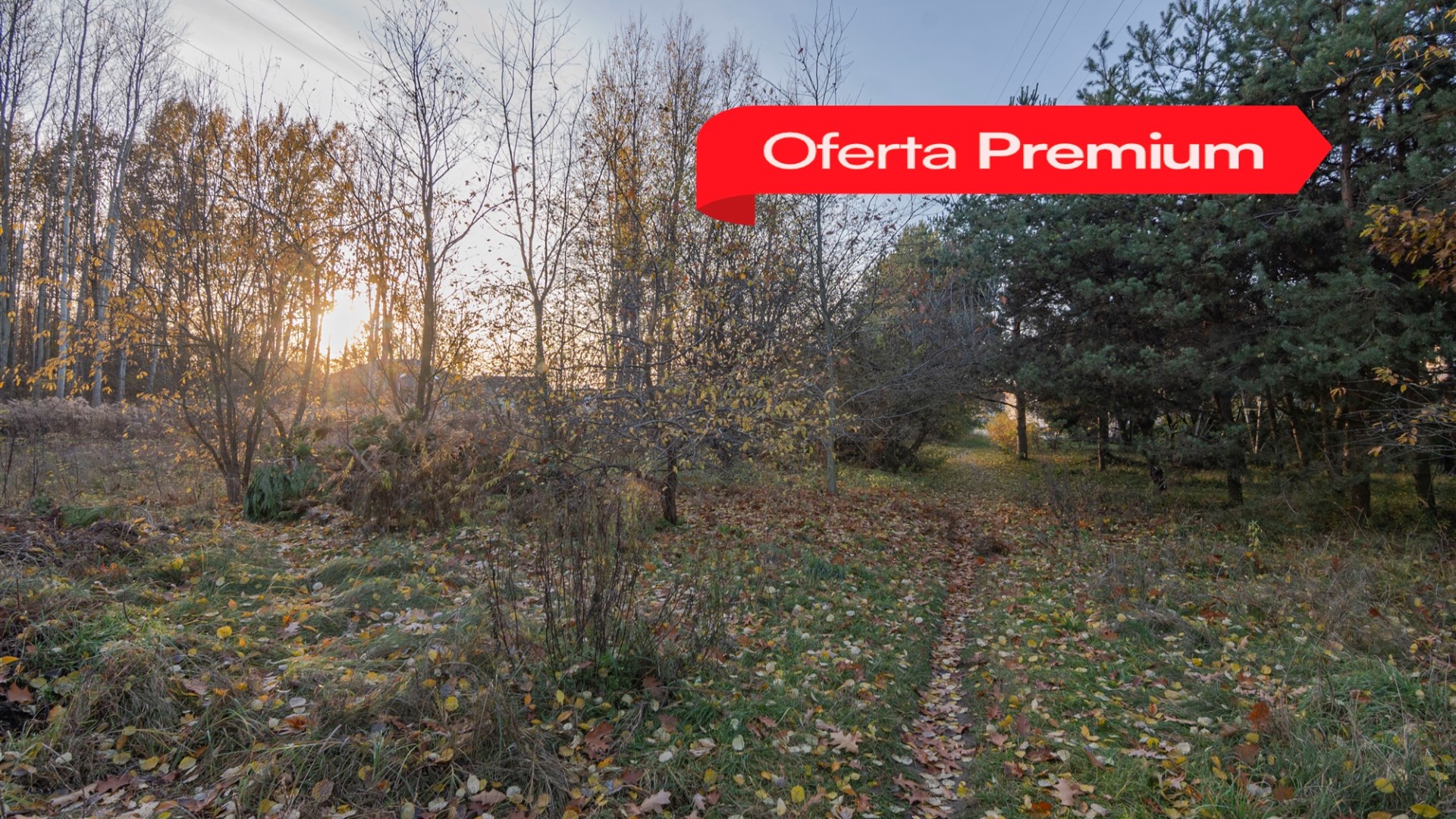 Działka na sprzedaż