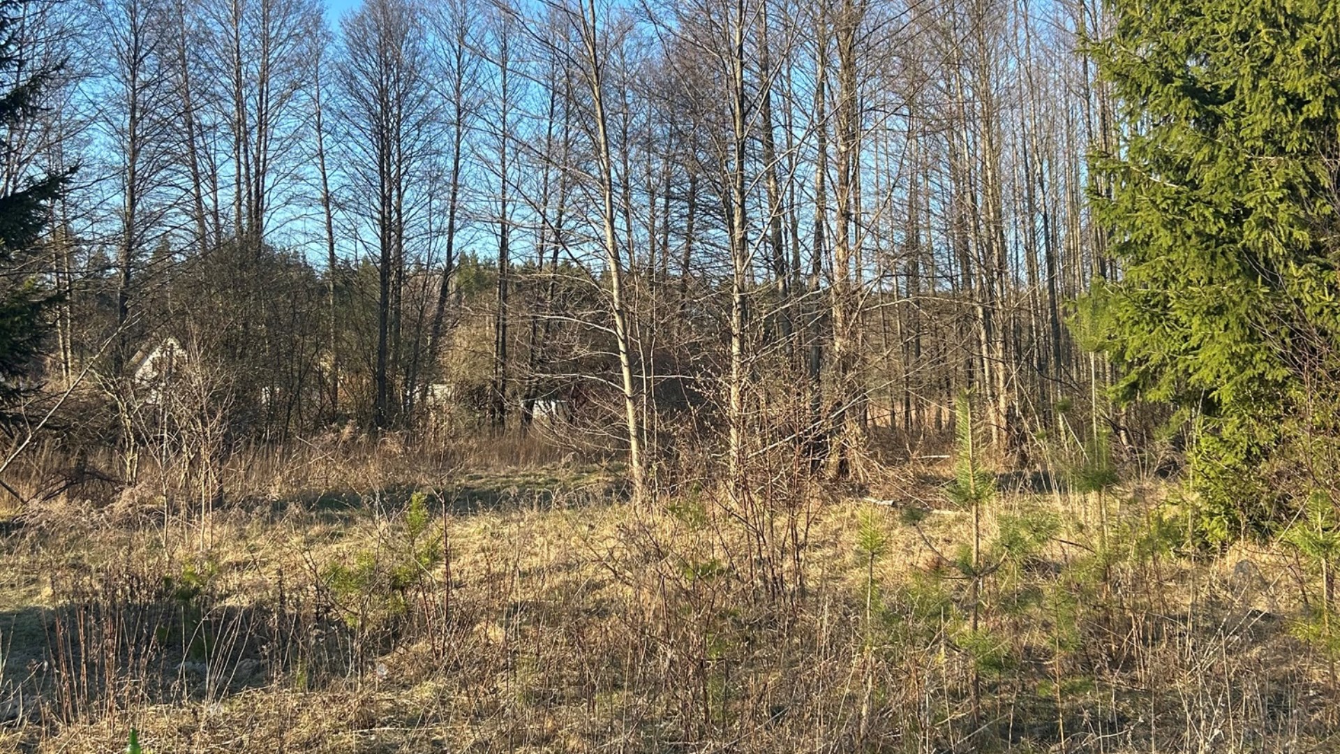 Działka na sprzedaż